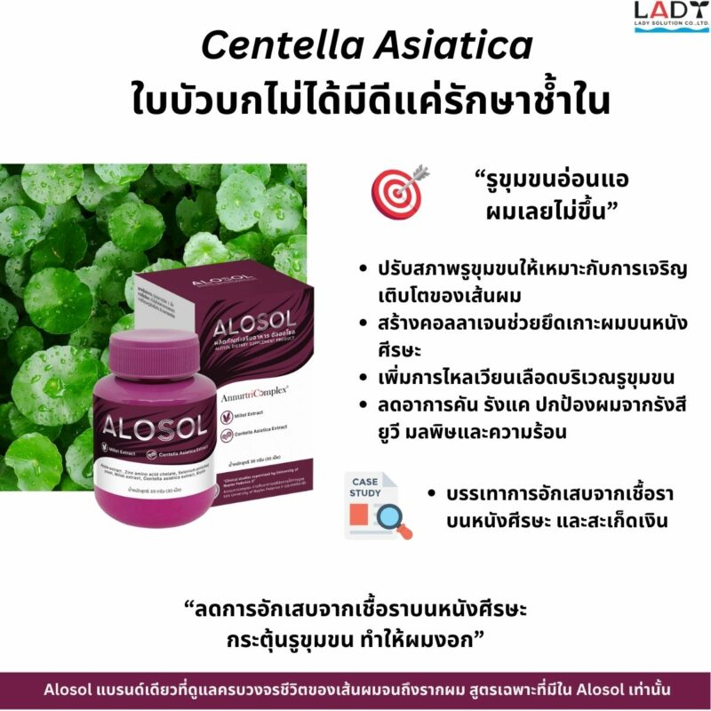 Alosol ผลิตภัณฑ์ดูแลเส้นผม